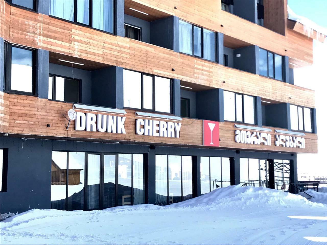 Comfortable Apartment, New Gudauri, Ski Resort Экстерьер фото